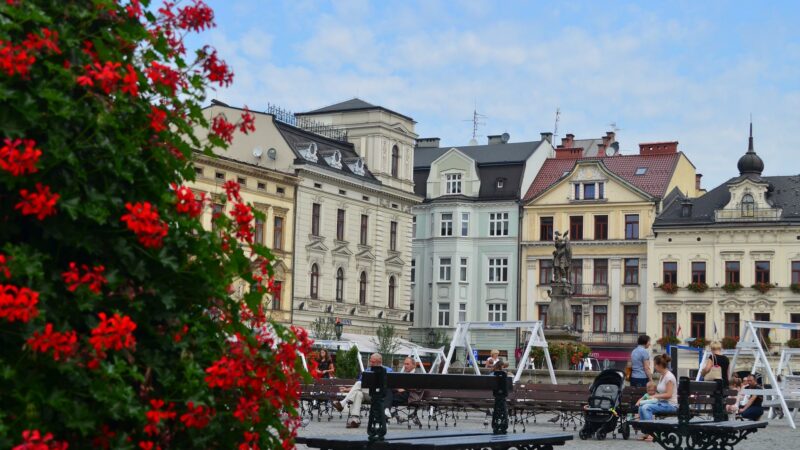 Kontrowersyjna wizualizacja rynku w Cieszynie – reakcja miasta na krytykę mieszkańców i internautów