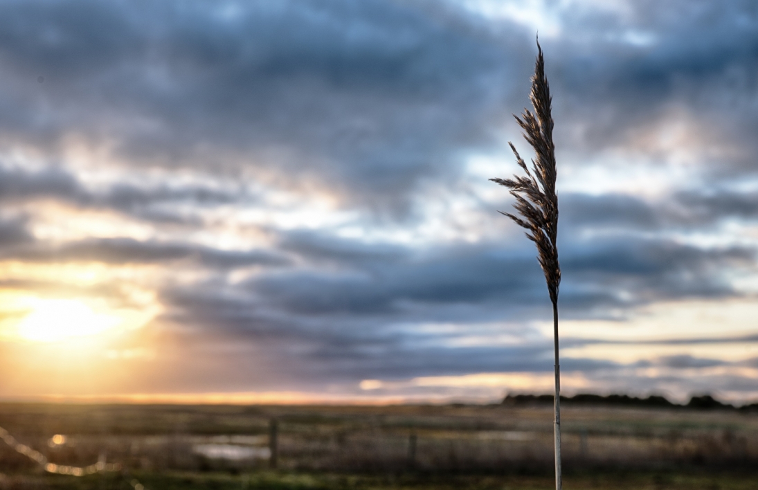 Meteorolodzy ostrzegają przed wiatrem halnym na południu Małopolski